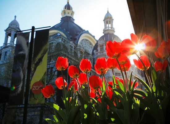 antwerpen-lente-2