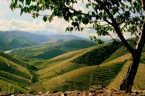 douro-vallei douro-vallei