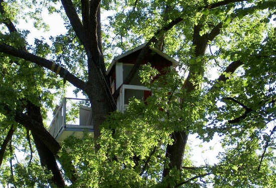 hackspett-hotell hackspett-hotell