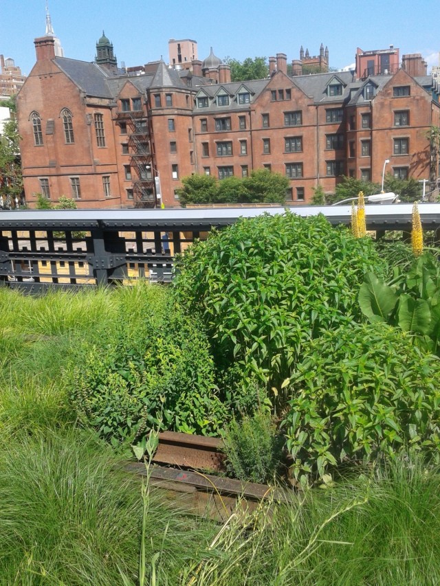 high line