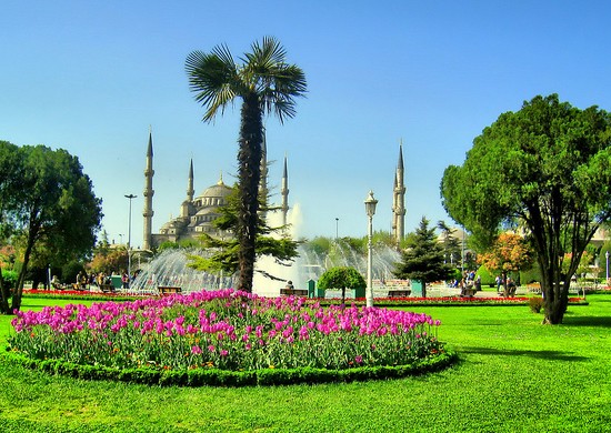 istanbul-lente