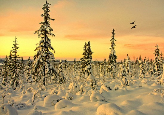 lapland