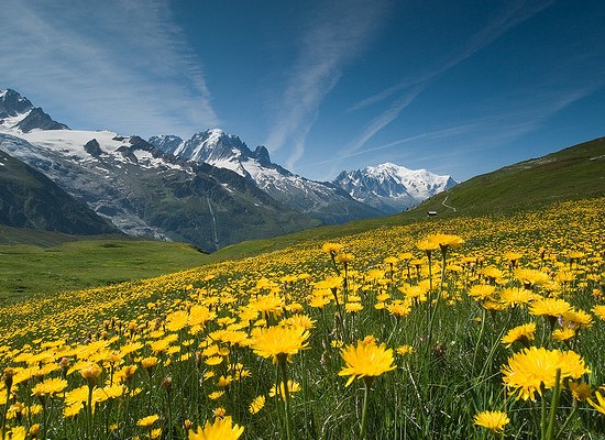 mont-blanc