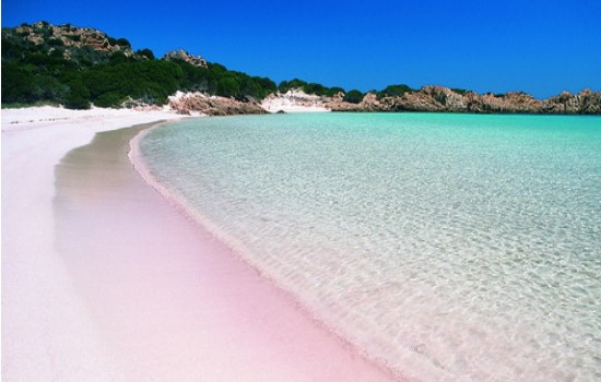 spiaggia-rosa spiaggia-rosa