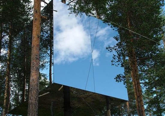 tree-hotel tree-hotel