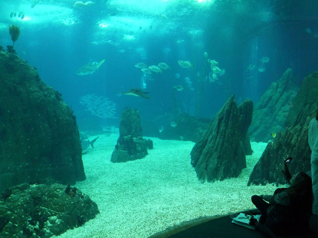 oceanario